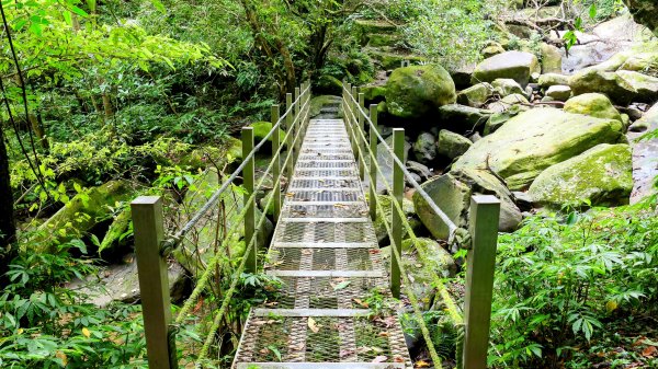 暖東峽谷大環小環2834405