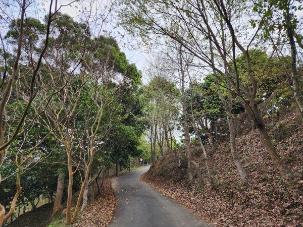 小百岳No.46⛰阿罩霧山2448515