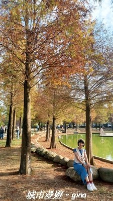 【南投名間】欣美創意園區~落羽松2968325