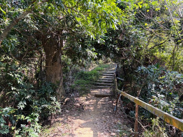南觀音山步道2731311