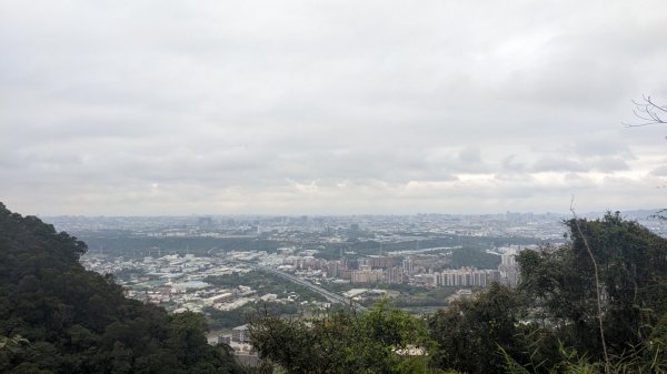 鳶山登山步道2078827