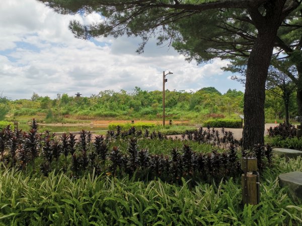 暑之大湳森林公園2859591