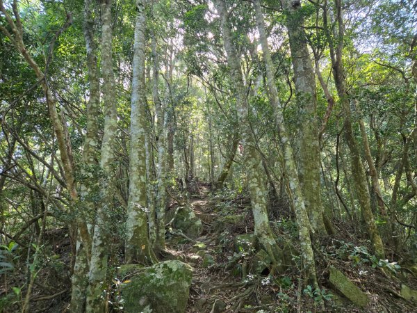 哈堪尼山2761946