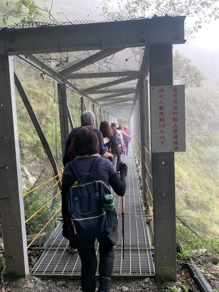 202八通關古道(東埔到雲龍瀑布段)1143251