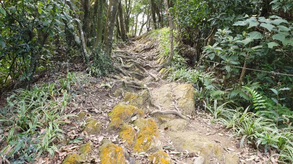烘爐地文筆山造鎮1067415