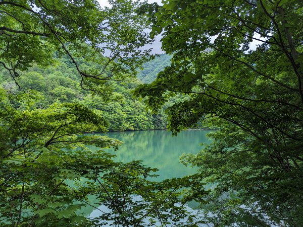 2023-06-14 十二湖（日本）2793197