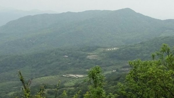 2021/04/01桃源谷大溪+草嶺福隆連走1332098