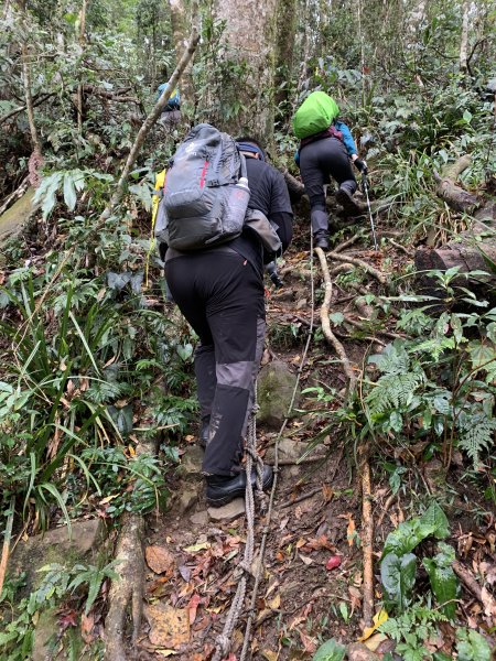 20251220嘉義凸龜山-芙蓉山-天福山2973802
