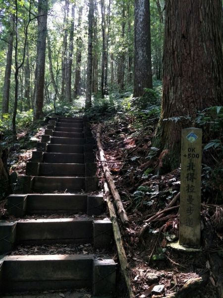 內鳥嘴山、北得拉曼步道359637