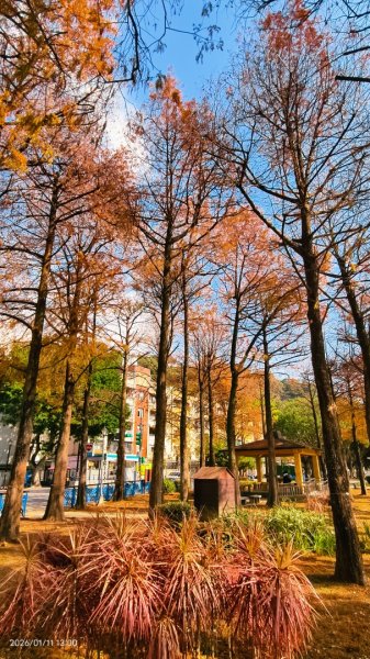 #花卉試驗中心 #永公路500巷 #平菁街42巷 #原住民公園 #士林官邸 1/42980339