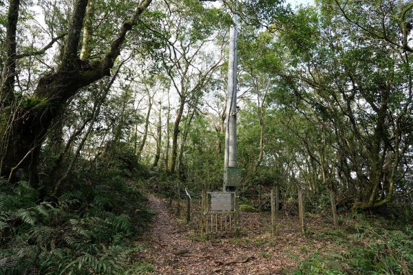 新北 烏來 大桶山、火燒樟山2728781
