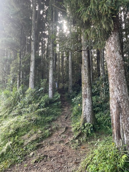 油羅山 2025 09/132890038