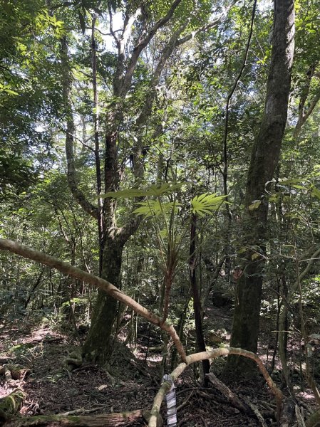 加里山隘勇線2913130