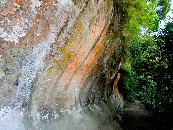 (鳶山山系)鳶山彩壁-2025微笑山線大縱走尋寶集章任務2855205