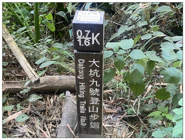 軍功寮山、大坑9、7、6、9-1步道 O型一圈2950777