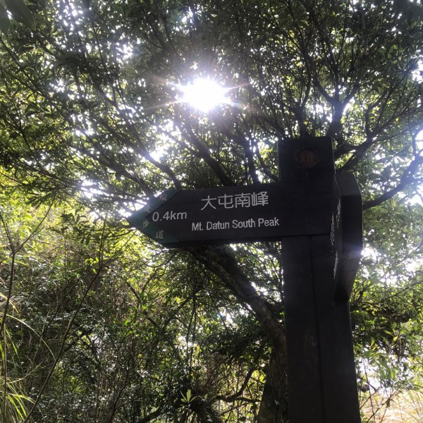 台北大縱走第二段1249243