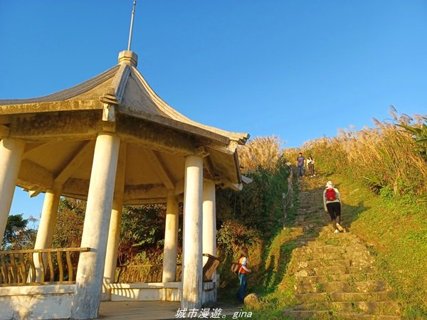 【新北。瑞芳】直上階梯朝聖百萬夜景。 小百岳集起來。 編號6小百岳 基隆山步道1570189