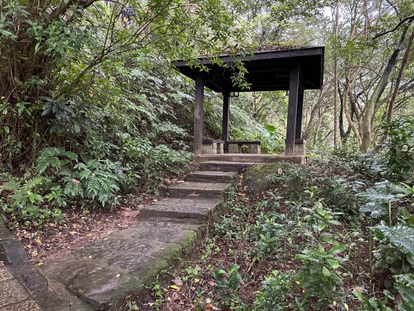 細雨中遠眺101登南港山2043825