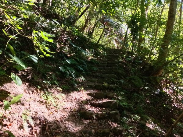 坪林區南闊瀨行(枋山坑古道+枋山坑崙+闊瀨越嶺保甲路O型)2916758