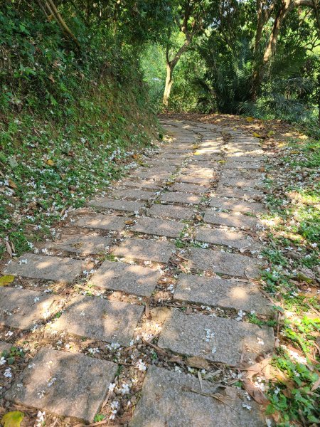 大坑6號上+8號探路+7號下2771426