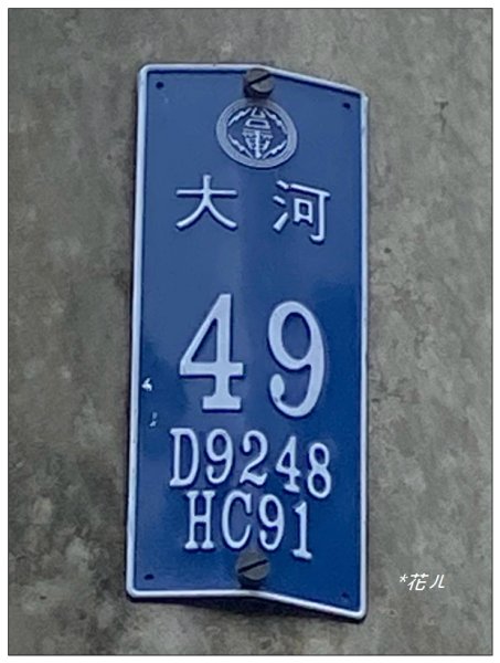 三灣落羽松秘境2676757