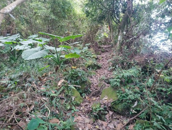 暗影山 小百岳 三等三角點4181690857