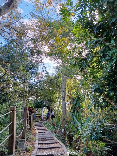 【台中潭子】蜿蜒步道賞風景。 No40小百岳~聚興山、新田登山步道2425969