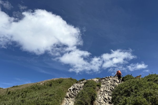 合歡北峰 202508092860127