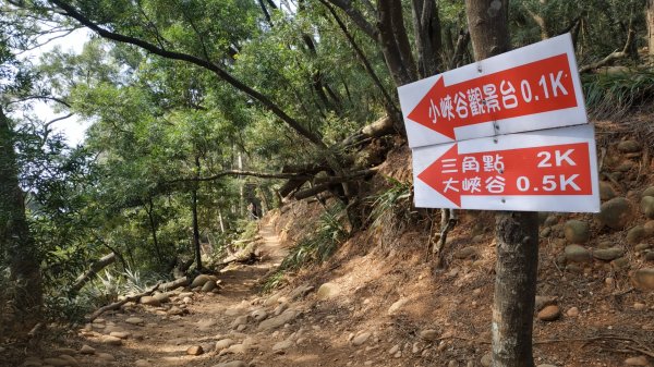 苗栗火炎山737396