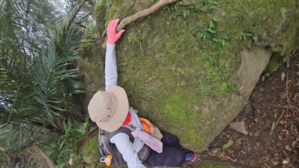 馬武督山西南峰+馬武督山O型走3012860