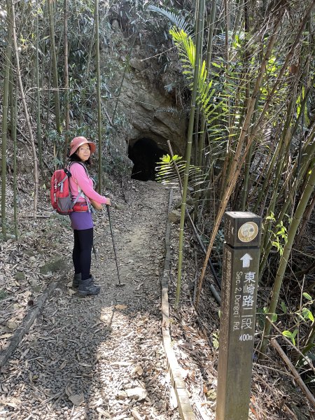 雙崎埋伏坪步道 順遊 巨人之手+雪山坑步道 202401142403918