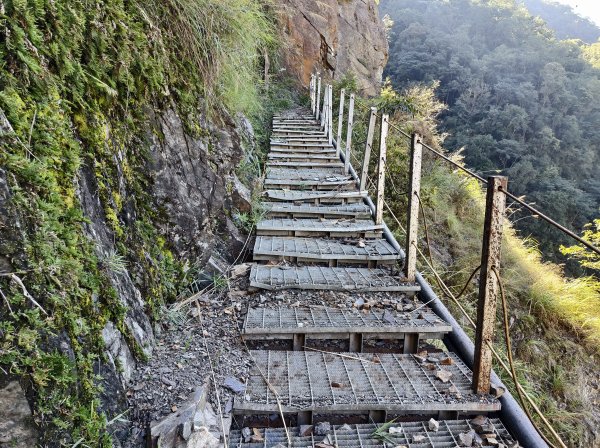 [玉山尋寶任務-07/12] 2025_0824 八通關雲龍瀑布步道2870665