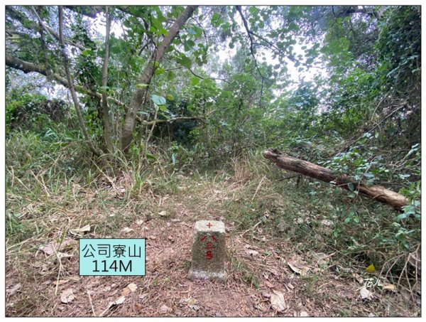 公司寮山 ( 苗栗、後龍 )3006171