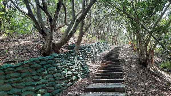 《台中》心靈雞湯｜大肚萬里長城登山步道O繞202507052827432