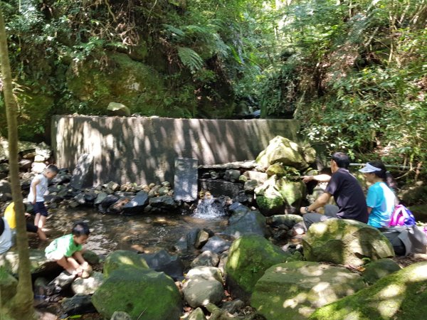 魚路南段(絹絲步道-擎天崗)1088998