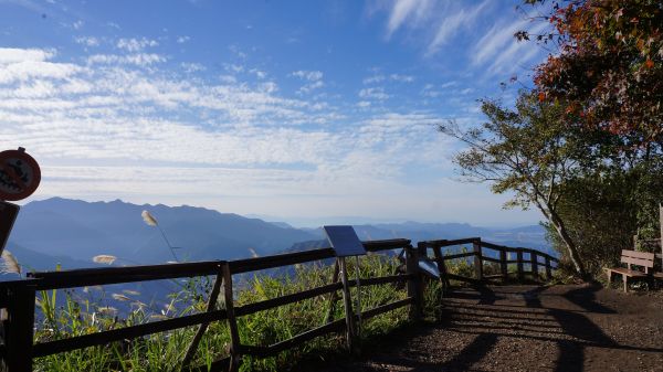 馬那邦山之楓222179