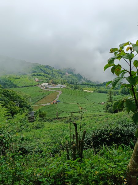 雲嘉大尖山、二尖山步道2983742