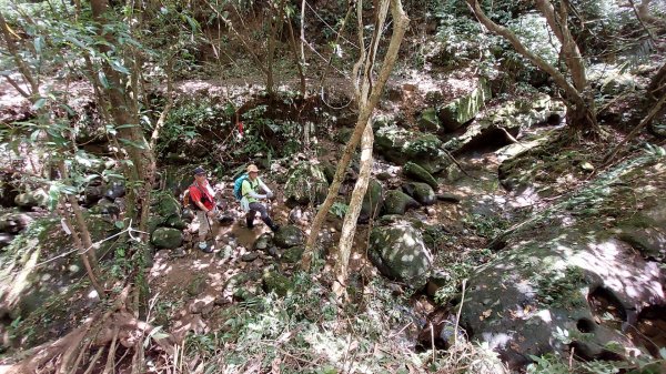 平溪區 東勢格越嶺古道-咸豐嶺古道-臭頭山-白石後仙洞O型2267784