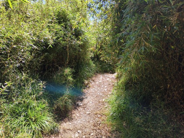 北一段(03/14)多加屯山 2025_0906~132885268