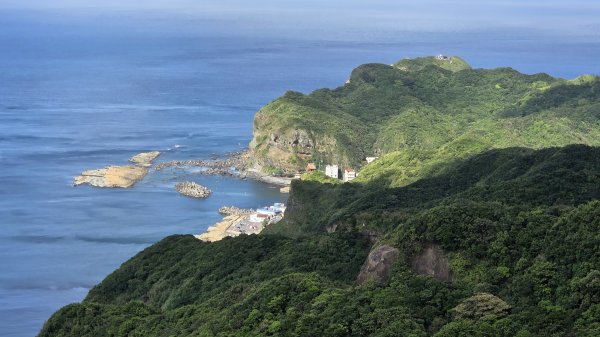 夏季的黃金十稜接九稜下門牙稜C型(草長路荒慎行)2880683