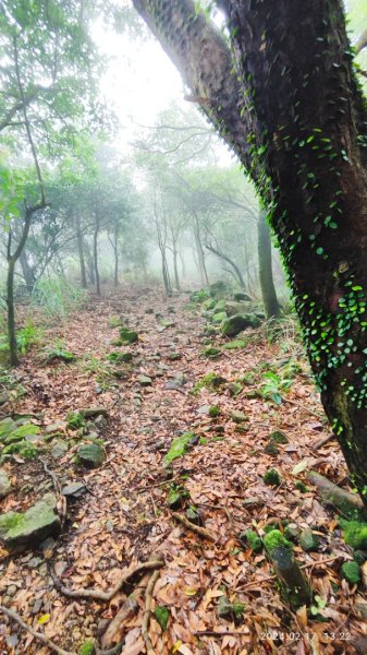 劍龍稜初體驗2431328