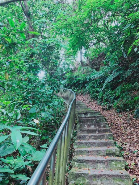 象山步道及永春崗步道1355308