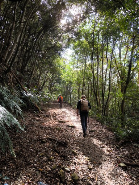 2026-01-18 埔里關刀山2989579