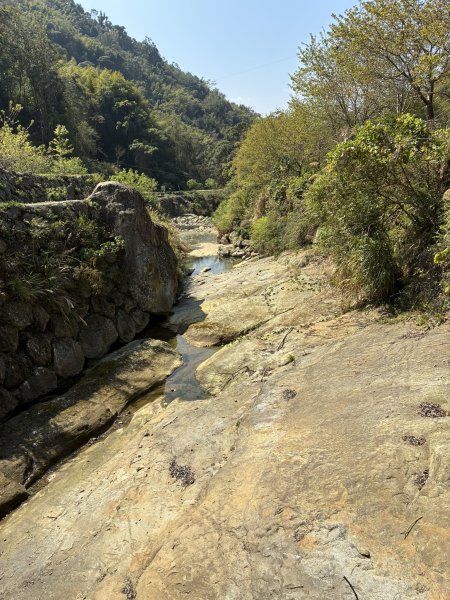 20260322[公車]石壁山&嘉南雲峰3019916