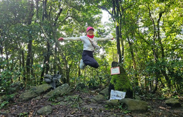 小格頭獅頭山.鱷魚島.八卦茶園3089954