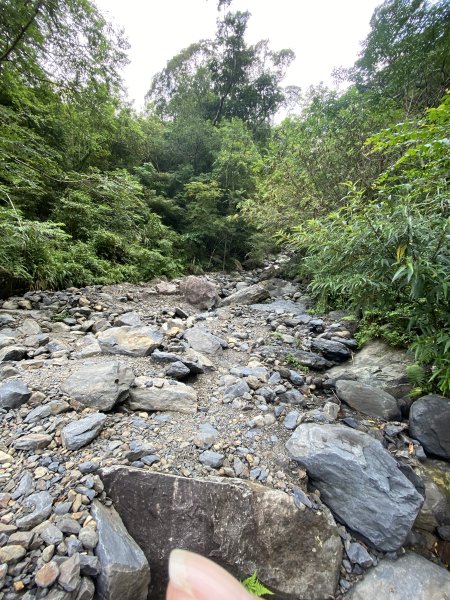 《探訪熊空秘境｜新北三峽雲森瀑布沁涼體驗》2878468