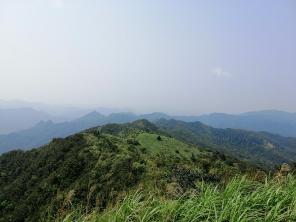 姜子寮山步道&姜子寮絕壁步道549602