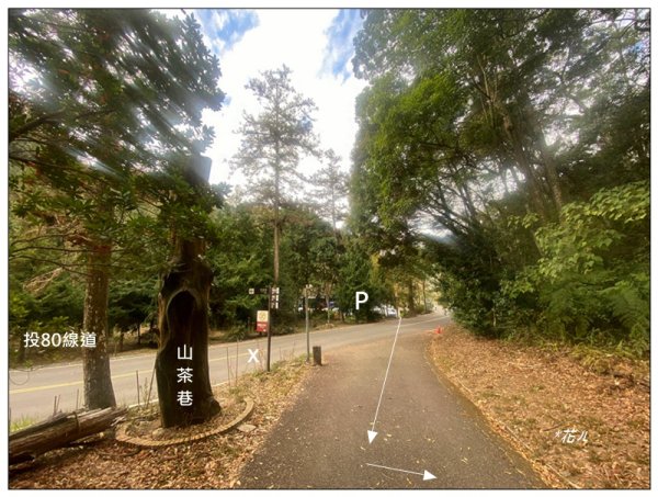 松風山 ( 惠蓀林場 )3047372