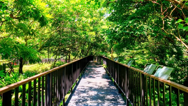 後山埤公園3082267