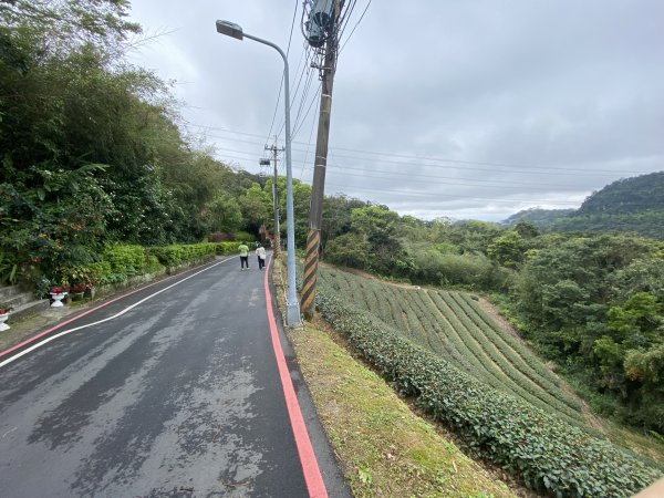 台北大縱走2026｜一天解鎖7顆寶石💎還嚕到4隻貓！第七段｜指南宮千階梯→貓空→樟湖步道→樟山寺3021800